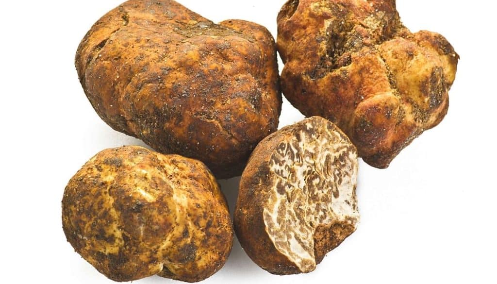 Everything you need to know about enjoying truffles in Umbria Katy in